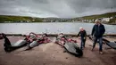 Seorang pria dan anak-anak berjalan di antara paus pilot di dermaga di Jatnavegur, dekat Vagar, Kepulauan Faroe, Denmark, Rabu (22/8). Paus pilot menyumbang 30 persen total produksi daging lokal di Faroe. (MADS CLAUS RASMUSSEN/RITZAU SCANPIX/AFP)