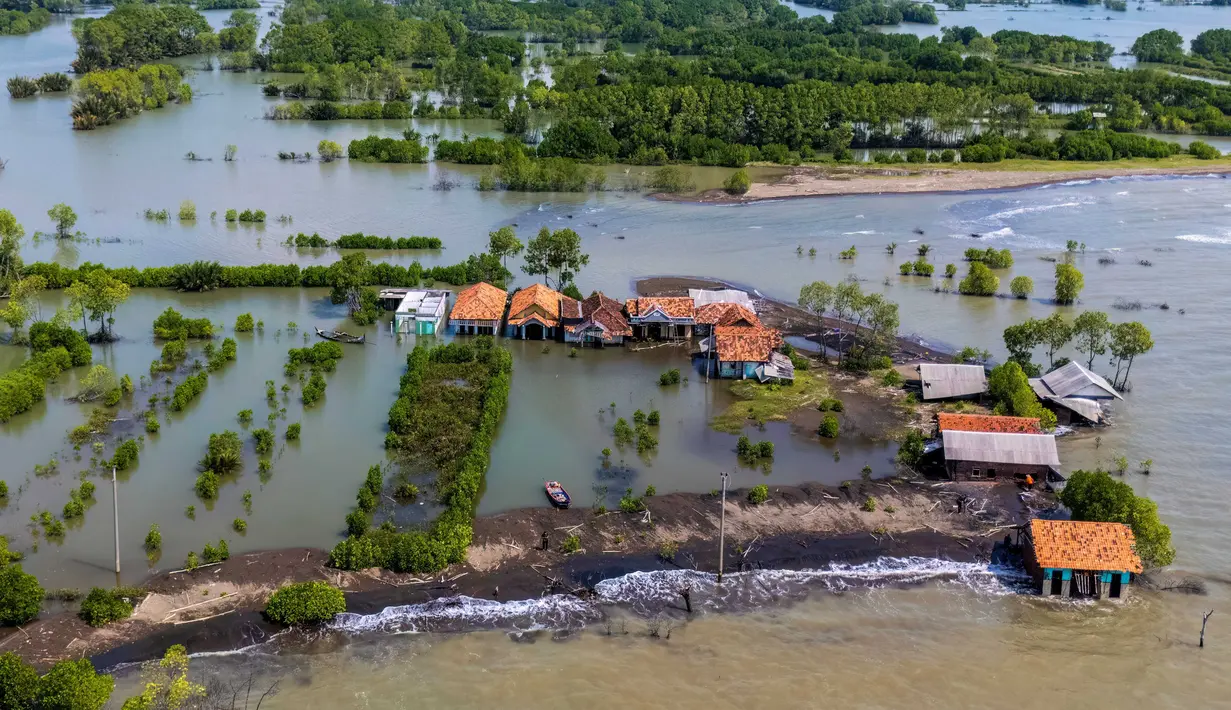 Rusaknya hutan mangrove turut melemahkan pertahanan wilayah daratan di sekitar pesisir Kabupaten Demak terhadap dinamika alam yang berasal dari arah laut, seperti arus, gelombang, pasang surut, dan angin. Tampak dalam foto yang diambil pada 29 Juli 2025 menunjukkan pemandangan udara rumah-rumah yang terbengkalai dan sebagian terendam air, yang hilang akibat kenaikan pasang surut akibat perubahan iklim, di Desa Semonet, Pekalongan, Jawa Tengah. (BAY ISMOYO/AFP)