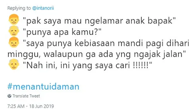 Menantu idaman