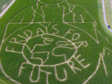 Pandangan udara memperlihatkan labirin dengan potret aktivis iklim Swedia Greta Thunberg menghiasi ladang jagung di Selm, Jerman, Rabu (10/7/2019). Dalam labirin tersebut juga terdapat pesan bertulis 'fridays for future'. (INA FASSBENDER/AFP)