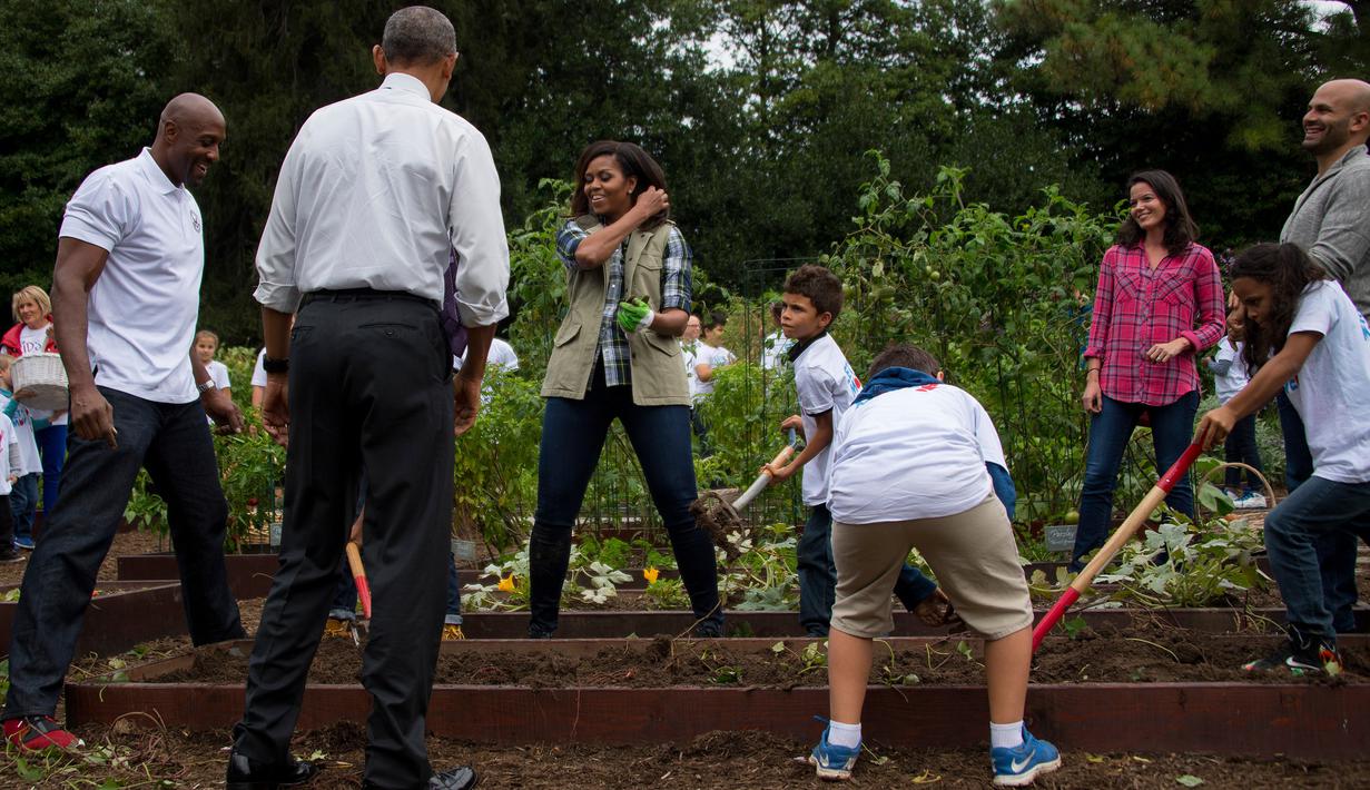 Ibu negara AS Michelle Obama didampingi Presiden AS, Barack Obama dan mantan pebasket Alonzo Mourning, Jr saat memanen ubi jalar di kebun Gedung Putih, Washington, (6/10). (AFP Photo/Jim Watson)