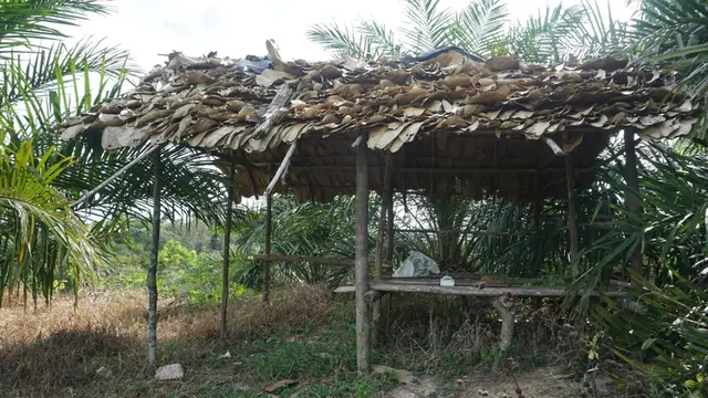 Rumah Orang Rimba