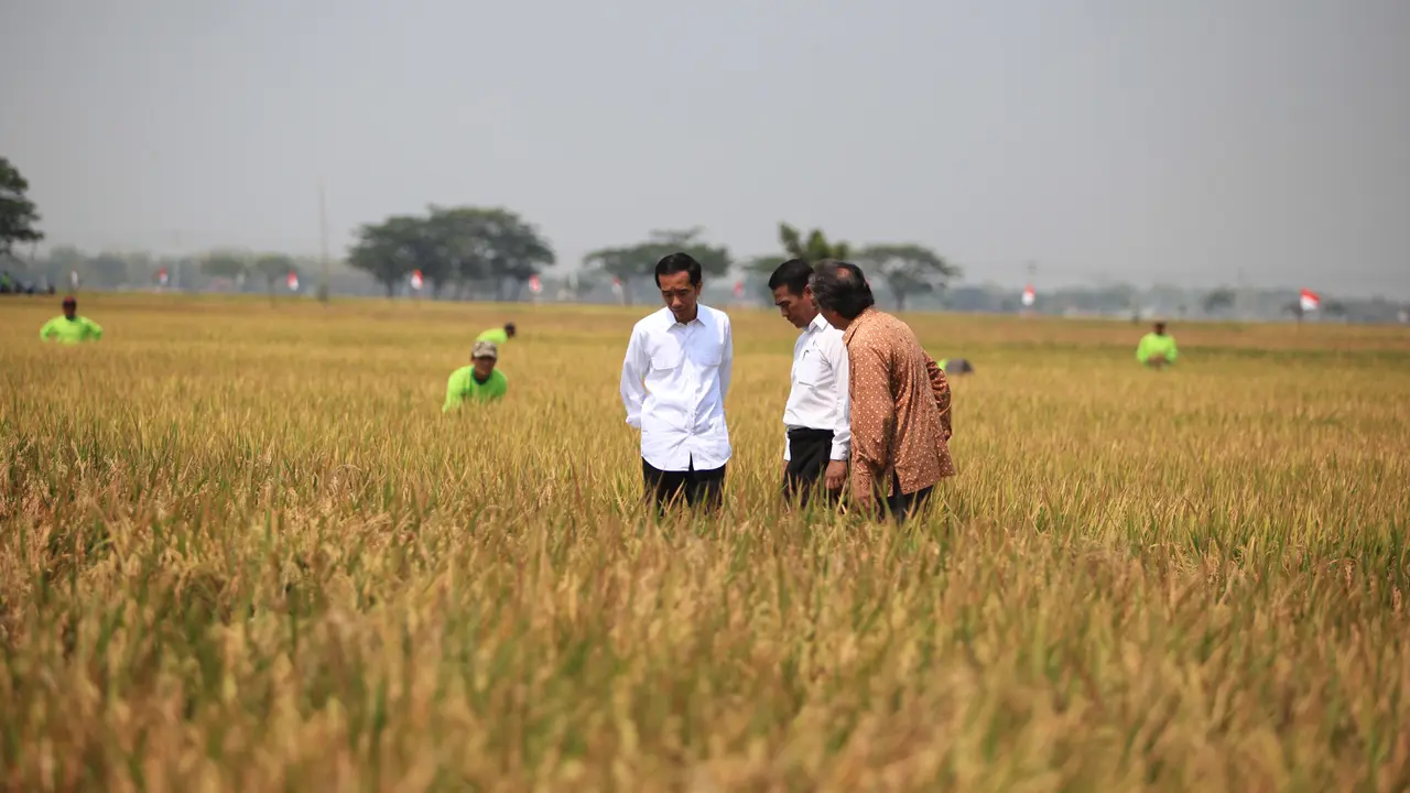 jokowi