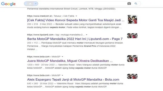 Gambar Tangkapan Layar Penelusuran Foto Menggunakan Google Images.
