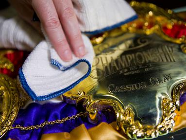 Seorang petugas membersihkan replika sabuk juara Cassius Clay tahun 1964 jelang pameran perjalanan hidup Muhammad Ali dengan judul "I Am The Greatest" di O2 Arena, London, Inggris, (3/3/2016). (AFP/Justin Tallis)
