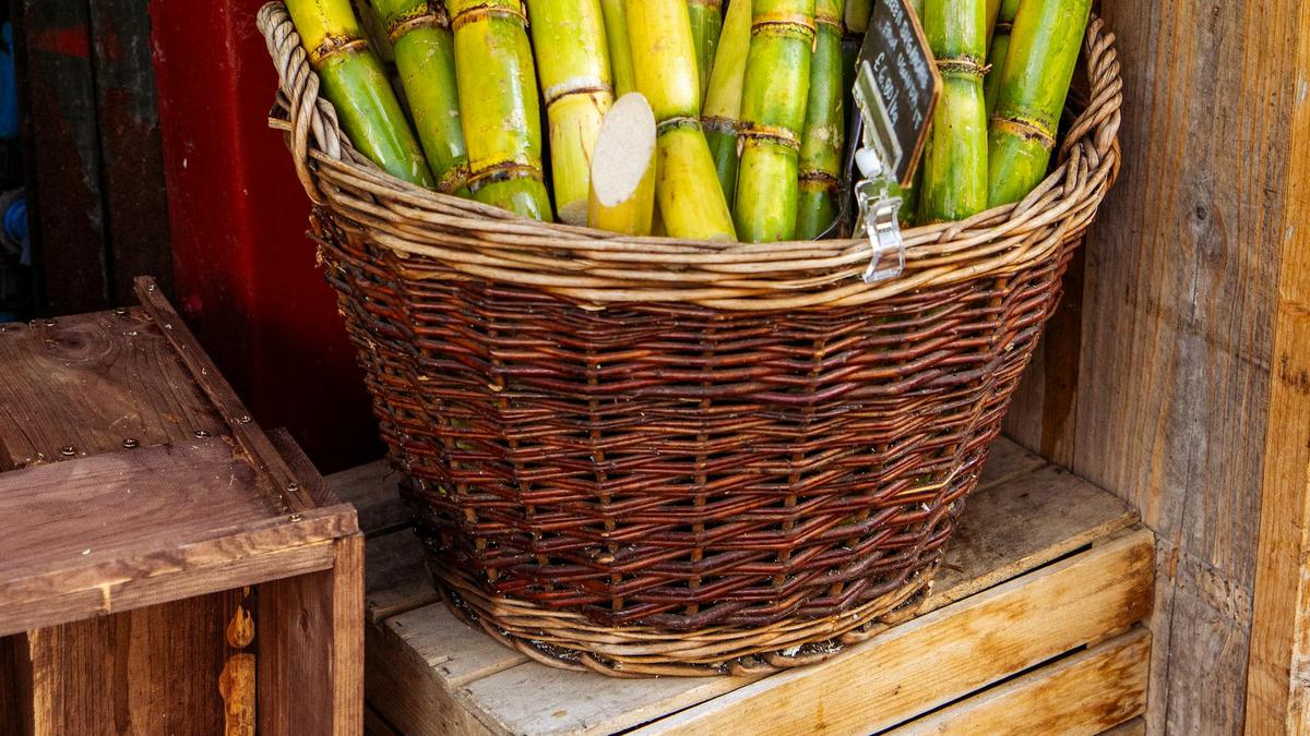 7 Manfaat Tebu yang Jarang Diketahui, Cocok Jadi Minuman Segar di Cuaca Panas