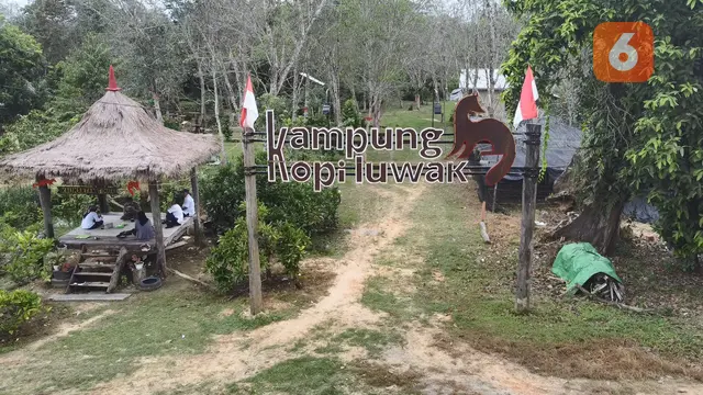 Kampung Kopi Luwak