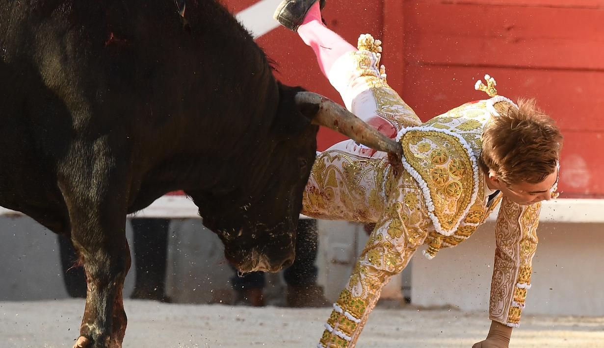 Tanduk banteng Spanyol Jandilla tepat mengenai bagian belakang matador dari Prancis Andy Younes saat kompetis Feria du Riz di Arles, Prancis (4/1). (AFP/Boris Horvat)