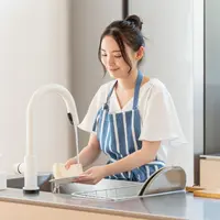Bilas peralatan dapur dengan air mengalir/copyright shutterstock/takayuki