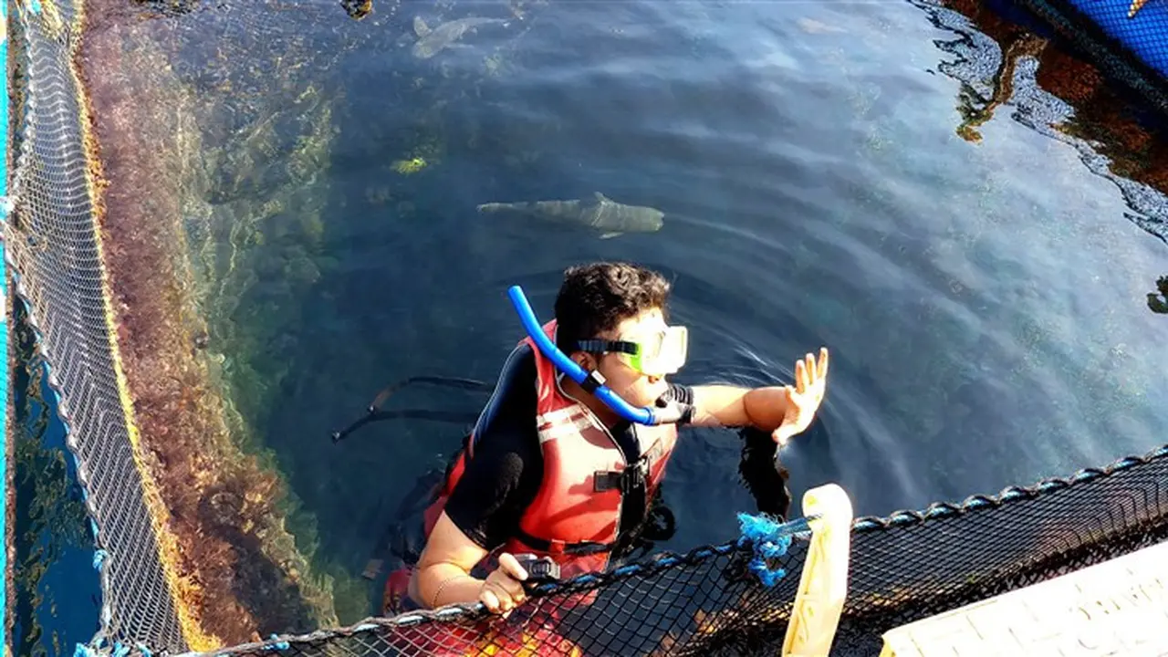 Snorkeling