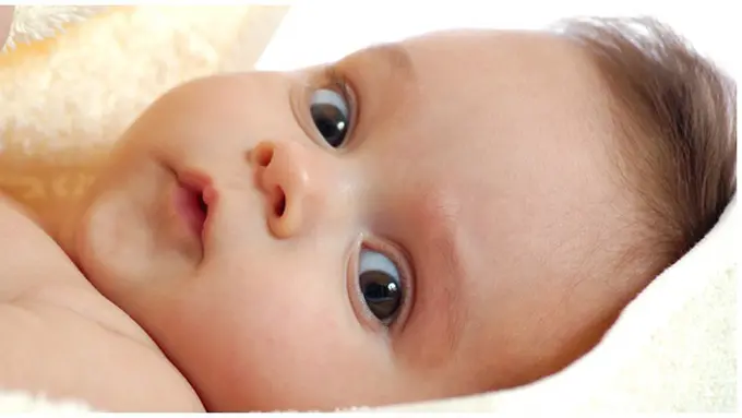 (c) sweetbabyland.com