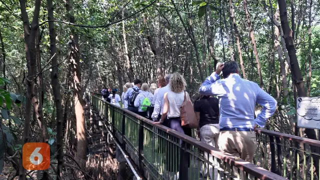 Delegasi Parlemen Eropa di Hutan Mangrove, Jakarta Utara, Rabu (17/5/2023).