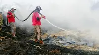 Petugas Manggala Agni memadamkan kebakaran lahan di Siak supaya tak meluas dan menyebabkan bencana kabut asap. (Liputan6.com/M Syukur)