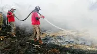 Terpapar Kabut Asap Kebakaran Hutan, Ribuan Warga Riau Sakit Pernapasan