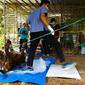 Bangkai Harimau Sumatra, Inung Rio, diotopsi petuas BBKSDA Riau untuk menemukan penyebab pasti kematiannya. (Liputan6.com/Dok BBKSDA Riau/M Syukur)
