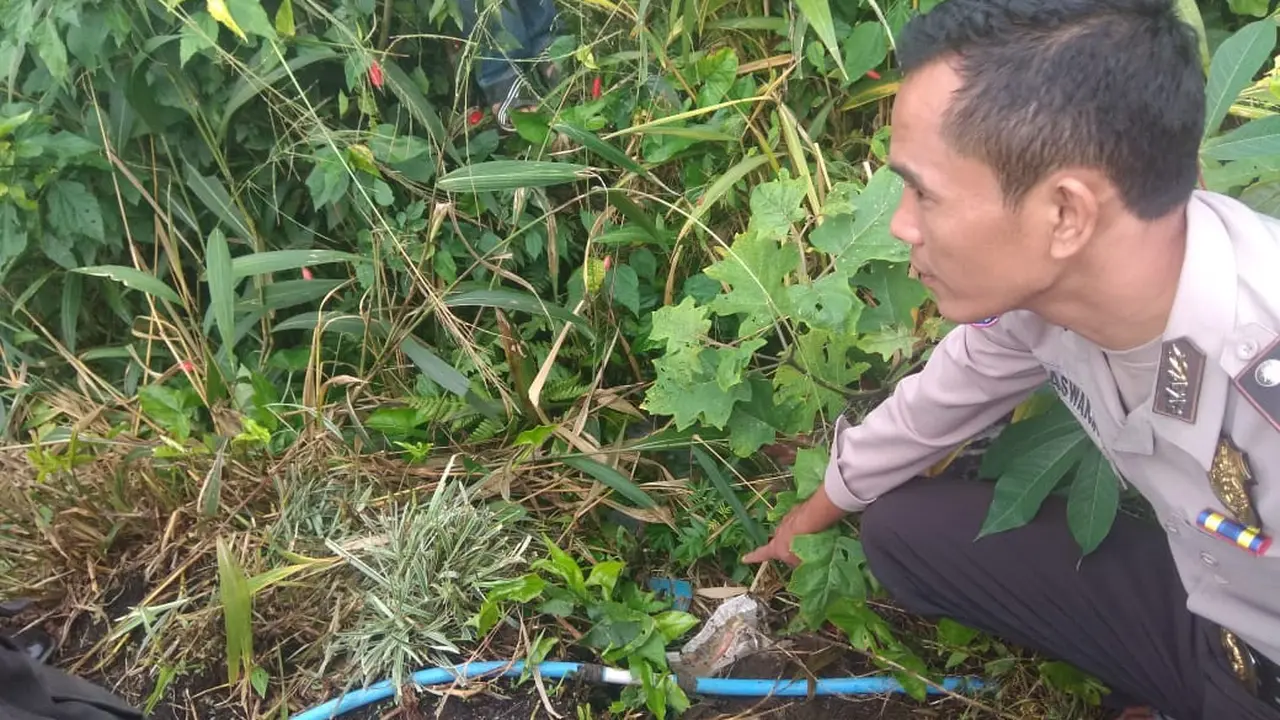 Heboh Penemuan Kantong Plastik Hitam Bersuara Tangisan di Pagar Alam