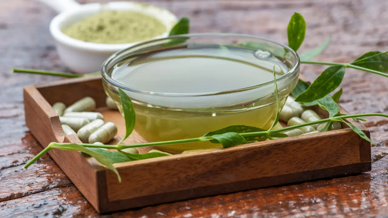 daun sambiloto pil obat alami jamu tradisional