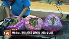 Bea Cukai dan BNN gagalkan penyelundupan narkoba dari Belgia dan Nigeria.