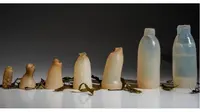 Mahasiswa kreatif membuat botol ramah lingkungan dari alga jelly. (Sumber: Dezeen Magaine / Siakap Keli)