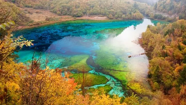 Danau Five Flowers Cina