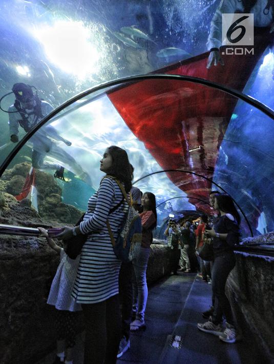 Pengunjung mengamati penyelam membentangkan bendera Merah Putih untuk memperingati HUT Ke-73 RI di Seaworld Ancol, Jakarta, Jumat (17/8). Pengibaran bendera melibatkan para penyelam profesional dan artis peran Marsha Aruan. (Liputan6.com/Faizal Fanani)