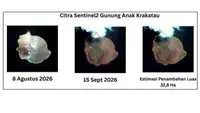 Anak Krakatau Meluas 32,8 Hektare Usai Erupsi, Muncul 2 Daratan Baru