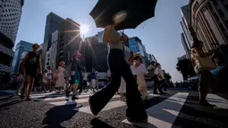 Jepang Kenalkan Kulkas untuk Manusia, Ini Fungsinya