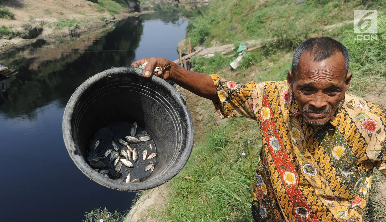 Warga menunjukkan ikan dari aliran Sungai Cileungsi yang berwarna hitam pekat di kawasan Bojong Kulur, Gunung Putri, Kabupaten Bogor, Jawa Barat, Selasa (23/7/2019). Air Sungai Cileungsi berubah warna menjadi hitam diduga akibat pencemaran limbah pabrik di kawasan tersebut. (merdeka.com/Arie Basuki)