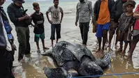 Foto: Petugas BBKSDA NTT bersama nelayan saat menyelamatkan penyu jenis belimbing yang terjerat pukat (Liputan6.com/Ola Keda)