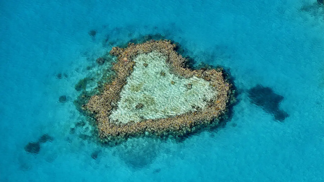 Indahnya Heart Reef, Gugusan Karang Berbentuk Hati di Australia 