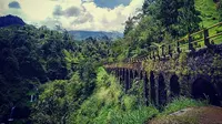 7 Rekomendasi Tempat Makan Dekat Plunyon Kalikuning Yogyakarta 2026 dengan Suasana Alam