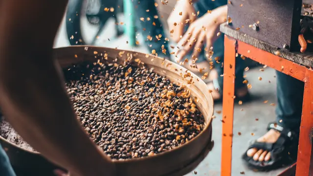 Olahan Biji Kopi