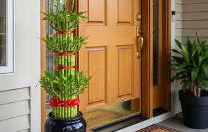 Penempatan Bambu Air Feng Shui di Rumah (Gemini AI)