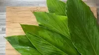 Manfaat Daun Kunyit bagi Kesehatan, Obat Herbal Alami yang Aman Dikonsumsi