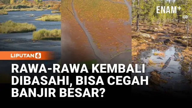 Dulu Dikeringkan, Kini Dipulihkan: Lahan Basah Jadi Senjata Lawan Banjir