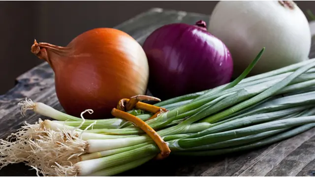 Courtesy ShutterStock.com