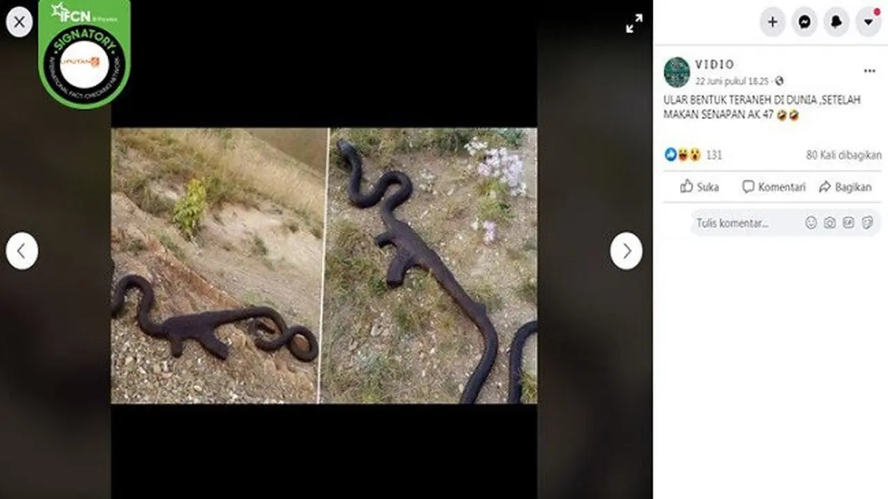 Gambar Tangkapan Layar Foto Ular Berbentuk Senjata Api