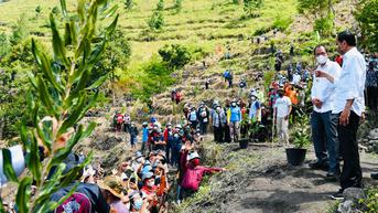 Jokowi: Kalau Sudah Dapat SK, Segera Tanami 50 Persen Lahan dengan Pohon Berkayu
