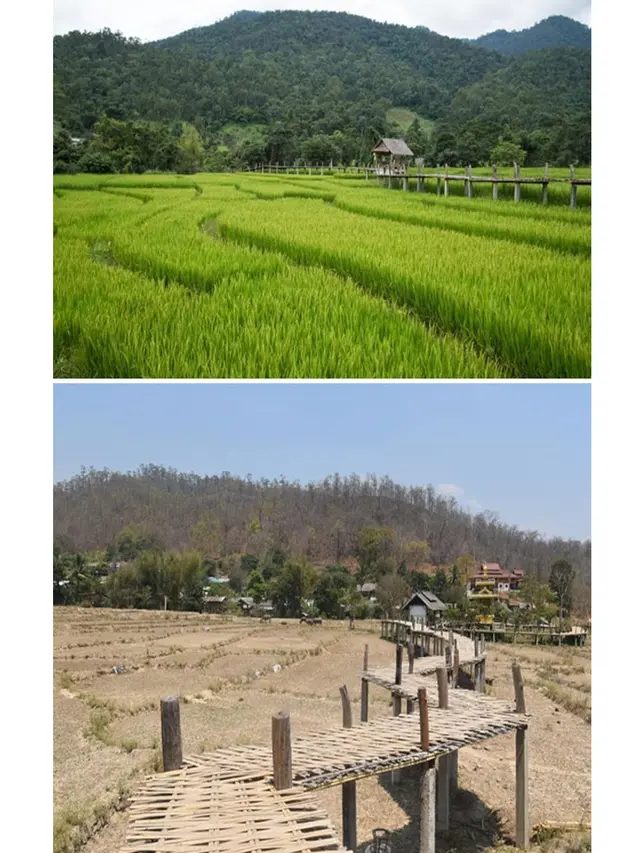 8 Potret Ekspektasi Tempat Wisata di Instagram Vs Hasil Foto Sendiri, Beda Banget
