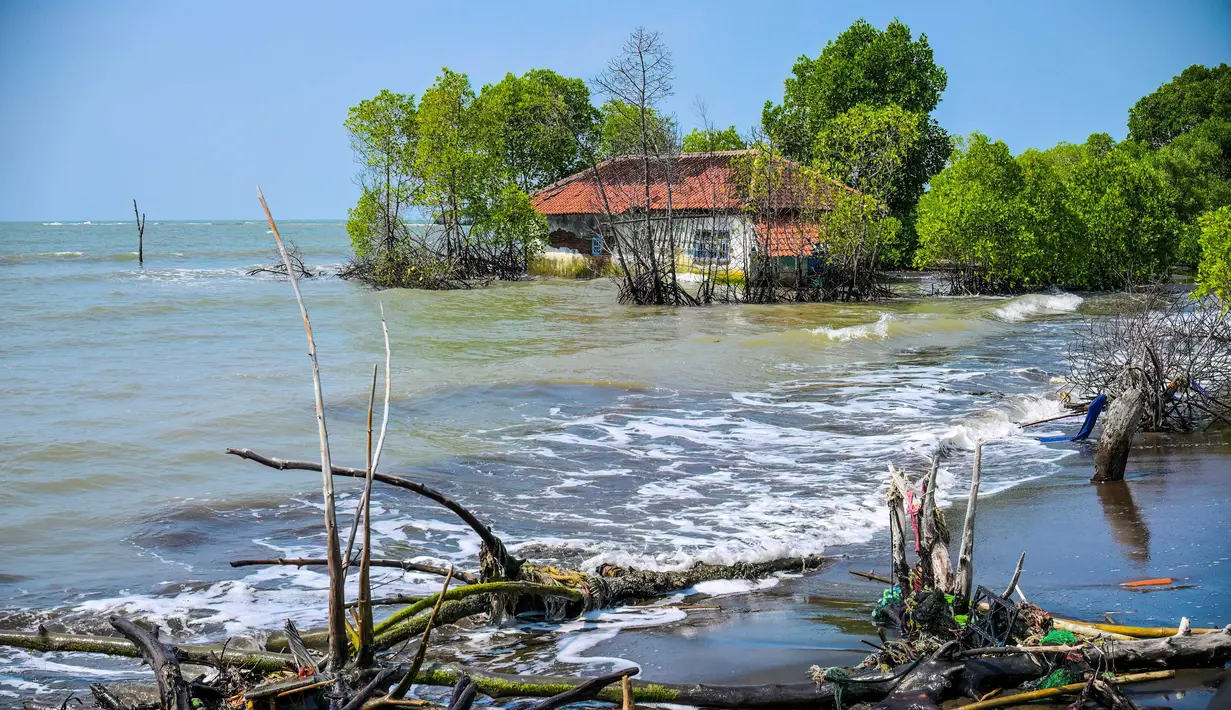 Di Desa Bedono, Demak, Jawa Tengah, dalam 10-20 tahun terakhir pengikisan daratan oleh air laut terus terjadi. Tampak dalam foto yang diambil pada 29 Juli 2025 menunjukkan sebuah rumah yang terbengkalai dan sebagian terendam air, hilang akibat kenaikan pasang surut yang disebabkan oleh perubahan iklim, di Desa Semonet, Pekalongan, Jawa Tengah. (BAY ISMOYO/AFP)