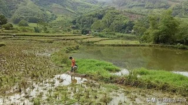 Jadi Vegan di Usia 10 Tahun, Alasan Bocah Ini Bikin Haru