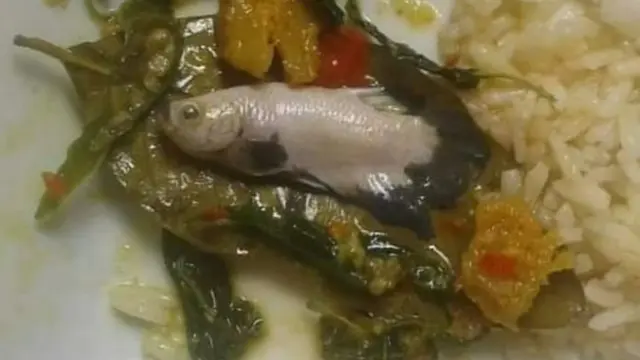 7 Potret Ikan Hias Dimasak Ini Bikin Warganet Heboh