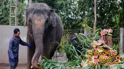 Setiap tanggal 12 Agustus diperingati sebagai Hari Gajah Sedunia, atau World Elephant Day. (AP Photo/Firdia Lisnawati)
