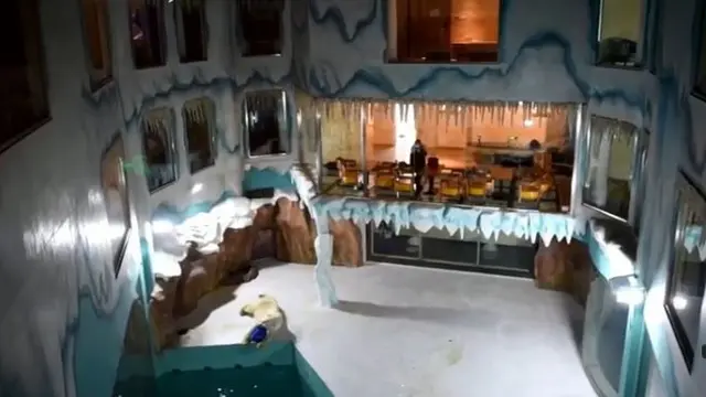 Hotel beruang kutub