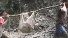 liputan6