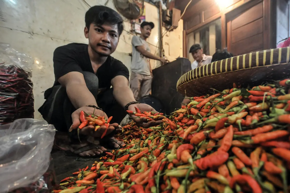FOTO: Harga Cabai Rawit Kembali Merangkak Naik