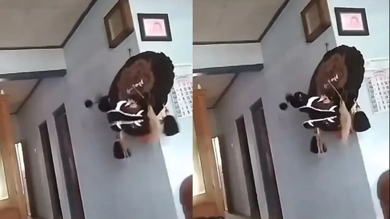 Viral Video Barongan Bisa Gerak Sendiri Tanpa Dipakai Ini Bikin Merinding