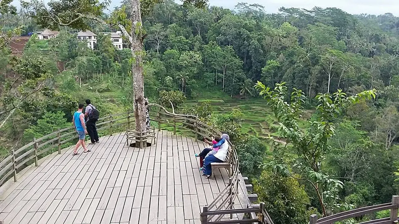 Bali Pulina
