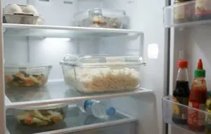 Cara Menyimpan Nasi di Kulkas agar Tetap Pulen, Awet, dan Aman Dikonsumsi