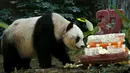 Panda raksasa Jia Jia terlihat di samping kue ulang tahunnya yang terbuat dari es dan sayuran di Hong Kong Ocean Park, China, Selasa, (28/7/2015).  Panda lucu ini merayakan ulang tahunnya ke-37. (REUTERS/Bobby Yip)